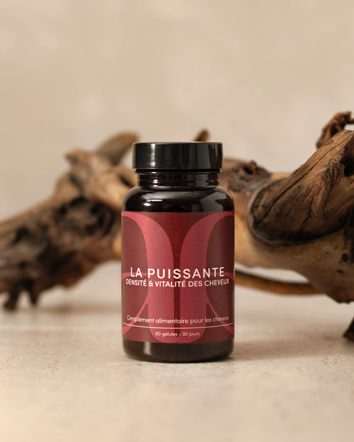 Présentation d'une cure de compléments alimentaires capillaires KAAMI qui s'appelle La puissante. Elle a pour objectif de favoriser la densité et la vitalité des cheveux. Packaging rouge avec un tronc d'arbre en fond 