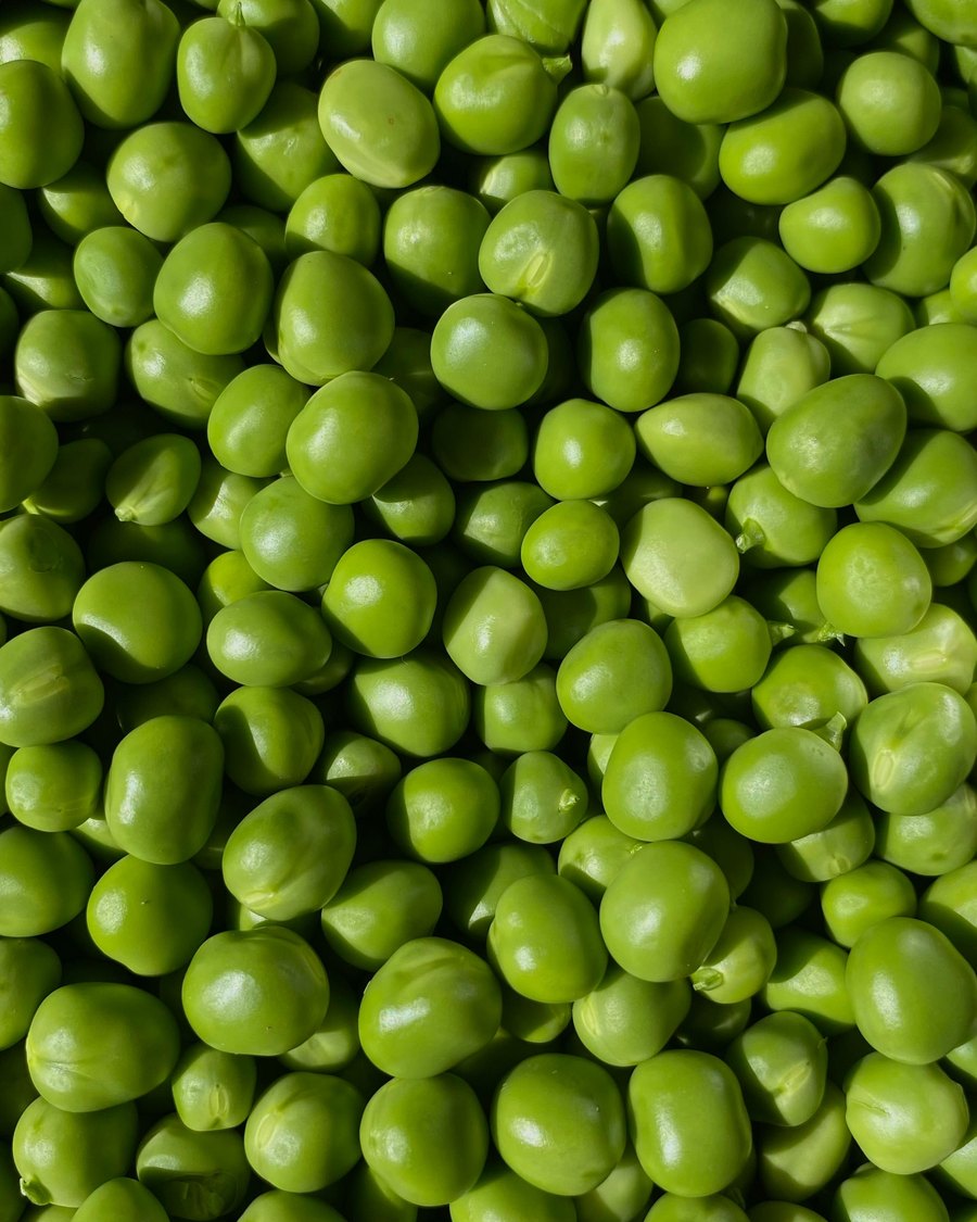 AnaGain Nu, pois germés